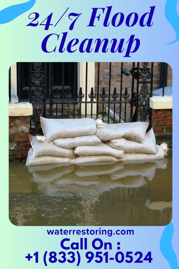 24/7 Flood Cleanup in Parkdale, MI