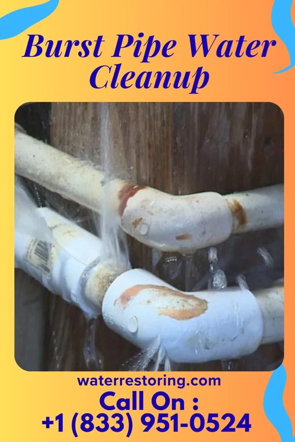 Burst Pipe Water Cleanup in Parkdale, MI