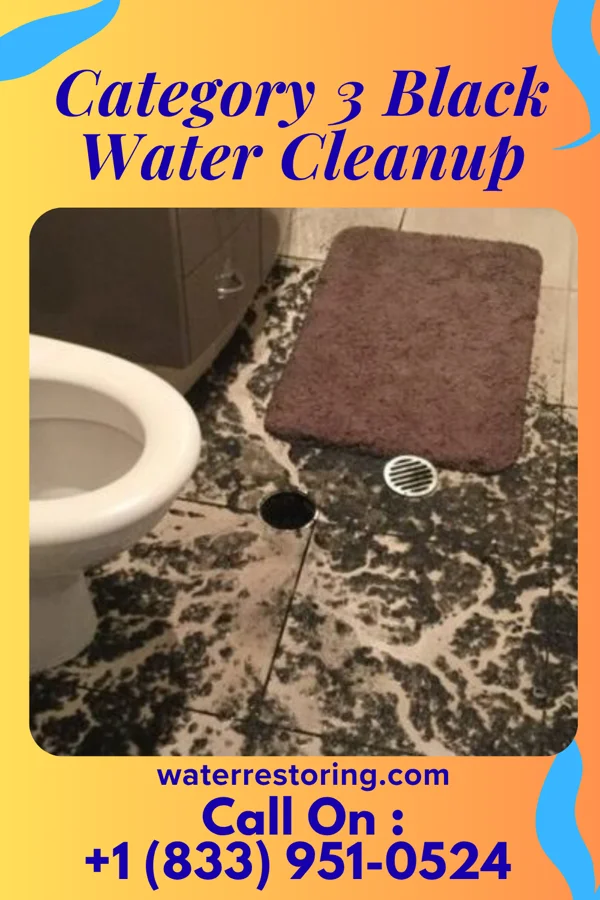 Category 3 Black Water Cleanup in Parkdale, MI