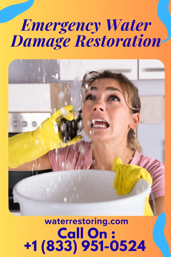 Emergency Water Damage Restoration in Parkdale, MI