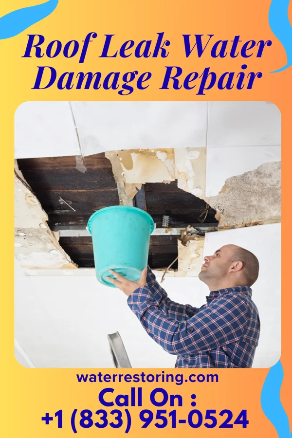 Roof Leak Water Damage Repair in Parkdale, MI