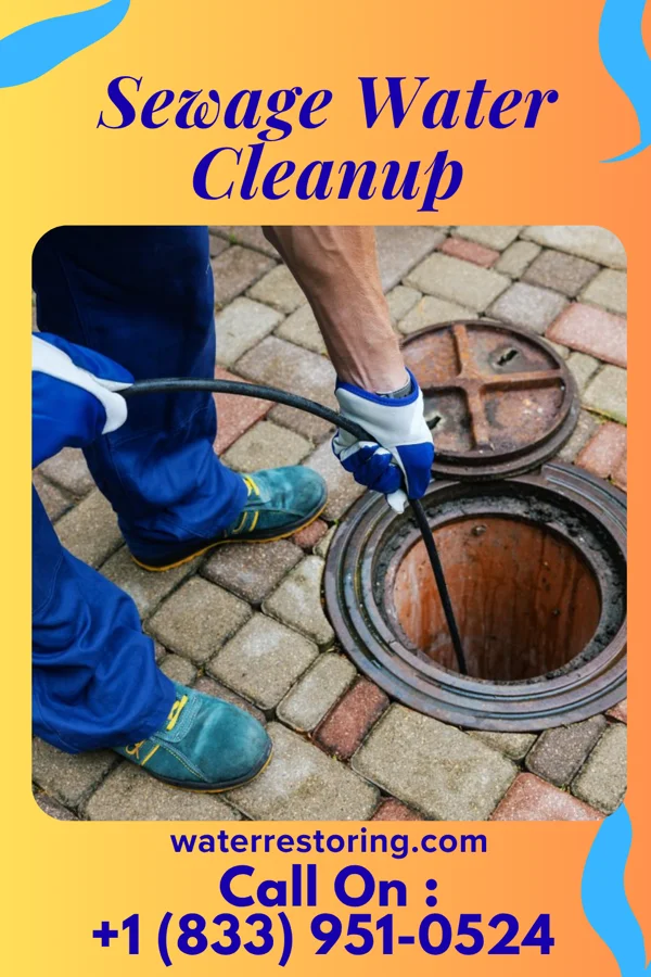 Sewage Water Cleanup in Parkdale, MI