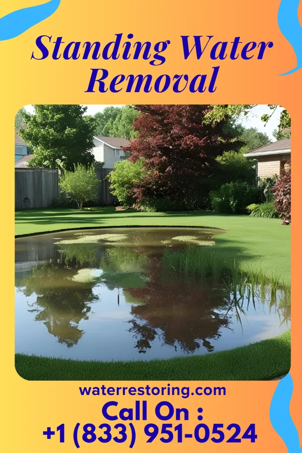 Standing Water Removal in Parkdale, MI